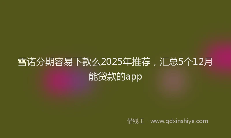 雪诺分期容易下款么2025年推荐，汇总5个12月能贷款的app