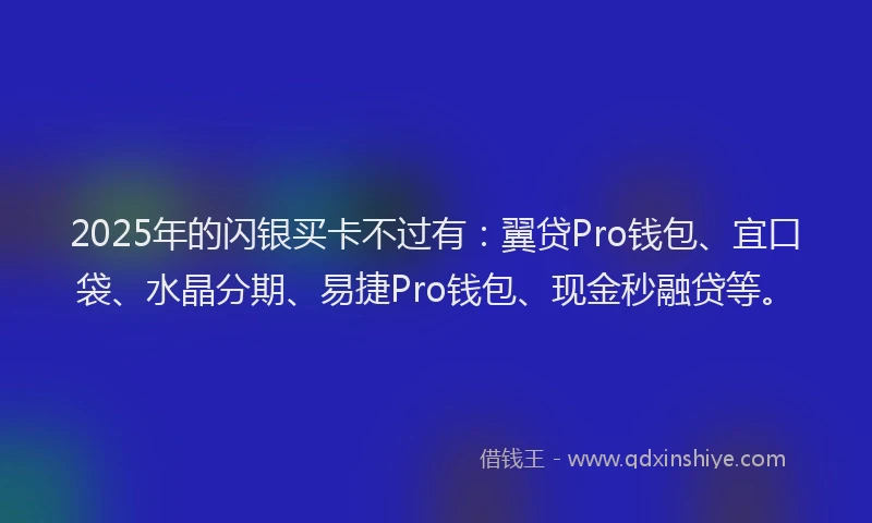 2025年的闪银买卡不过有：翼贷Pro钱包、宜口袋、水晶分期、易捷Pro钱包、现金秒融贷等。
