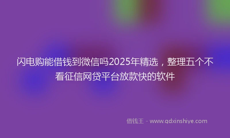 闪电购能借钱到微信吗2025年精选，整理五个不看征信网贷平台放款快的软件