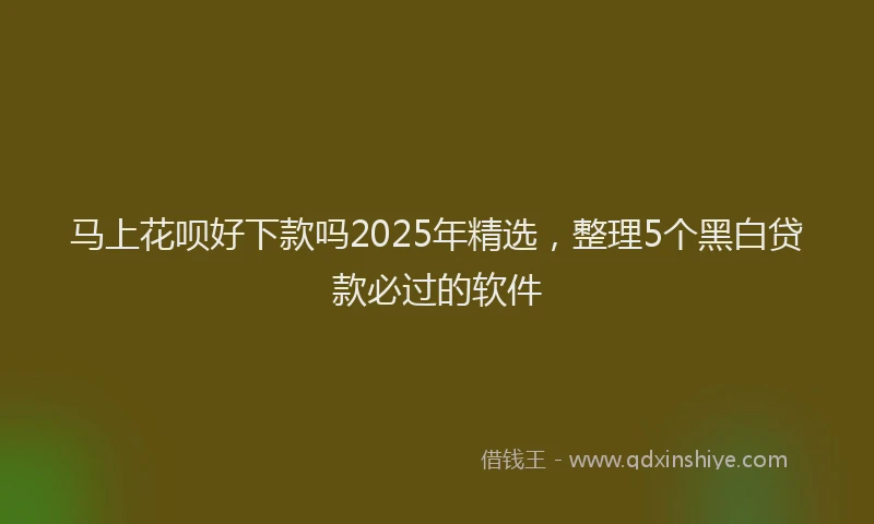 马上花呗好下款吗2025年精选，整理5个黑白贷款必过的软件