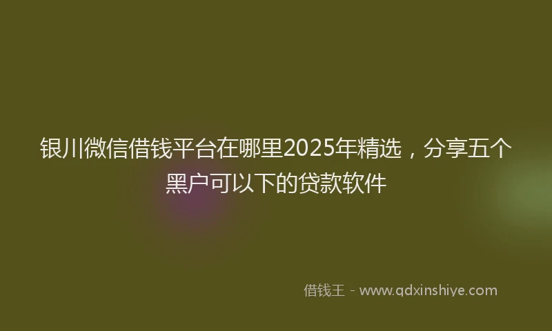 银川微信借钱平台在哪里2025年精选，分享五个黑户可以下的贷款软件