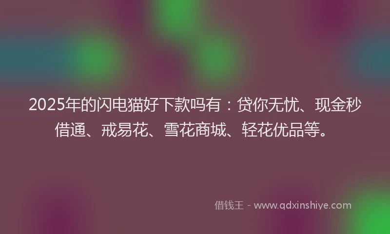 2025年的闪电猫好下款吗有：贷你无忧、现金秒借通、戒易花、雪花商城、轻花优品等。