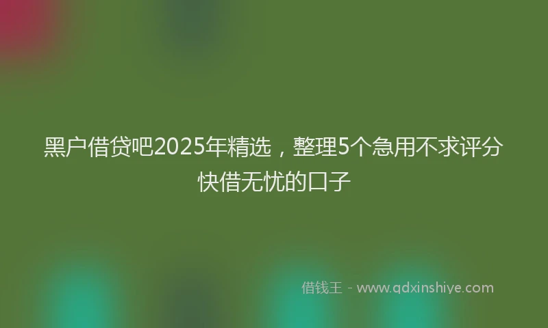 黑户借贷吧2025年精选，整理5个急用不求评分快借无忧的口子