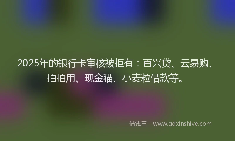 2025年的银行卡审核被拒有：百兴贷、云易购、拍拍用、现金猫、小麦粒借款等。