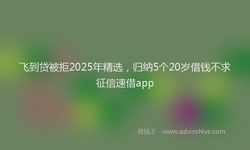 飞到贷被拒2025年精选，归纳5个20岁借钱不求征信速借app