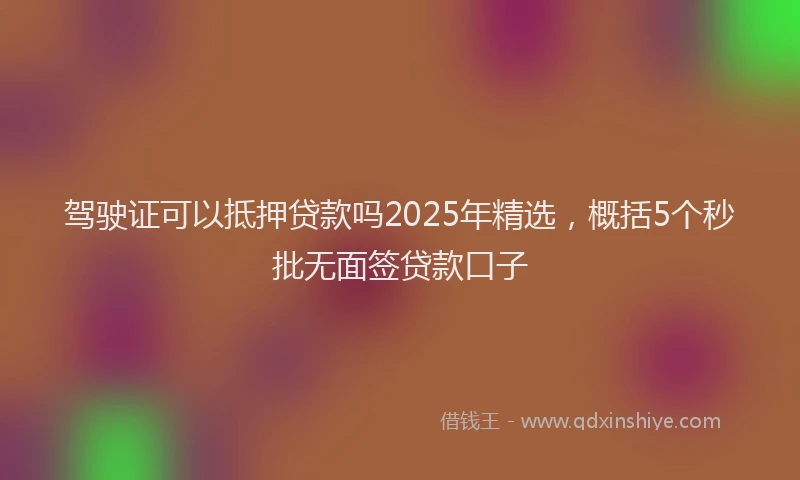 驾驶证可以抵押贷款吗2025年精选，概括5个秒批无面签贷款口子