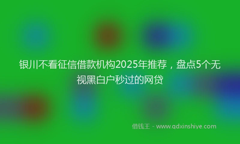 银川不看征信借款机构2025年推荐，盘点5个无视黑白户秒过的网贷