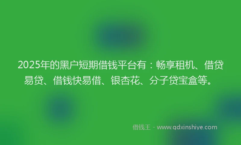 2025年的黑户短期借钱平台有：畅享租机、借贷易贷、借钱快易借、银杏花、分子贷宝盒等。