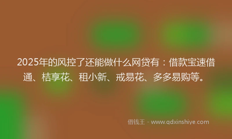 2025年的风控了还能做什么网贷有：借款宝速借通、桔享花、租小新、戒易花、多多易购等。