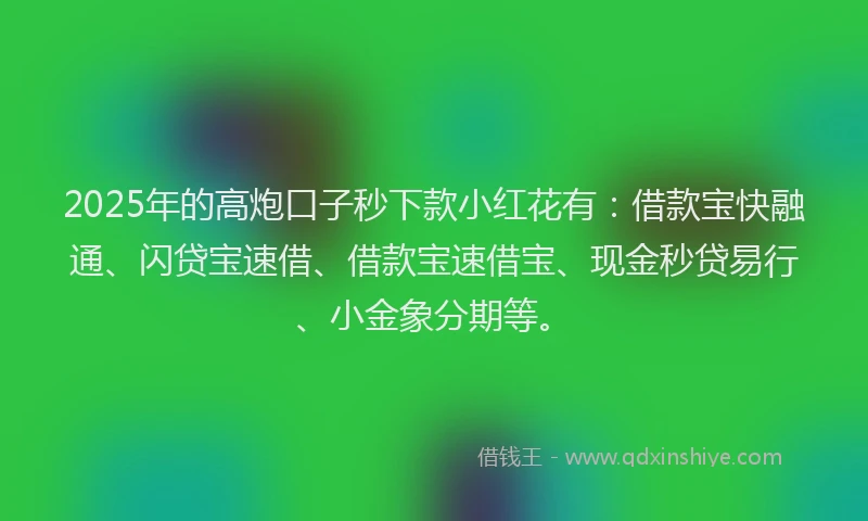 2025年的高炮口子秒下款小红花有：借款宝快融通、闪贷宝速借、借款宝速借宝、现金秒贷易行、小金象分期等。