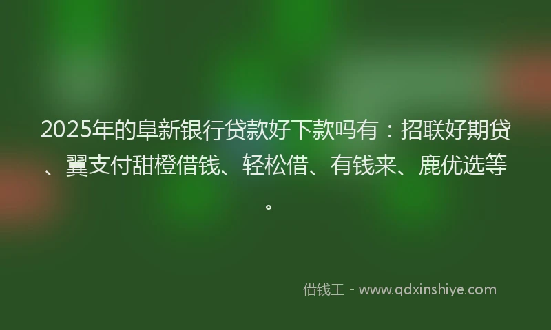 2025年的阜新银行贷款好下款吗有：招联好期贷、翼支付甜橙借钱、轻松借、有钱来、鹿优选等。