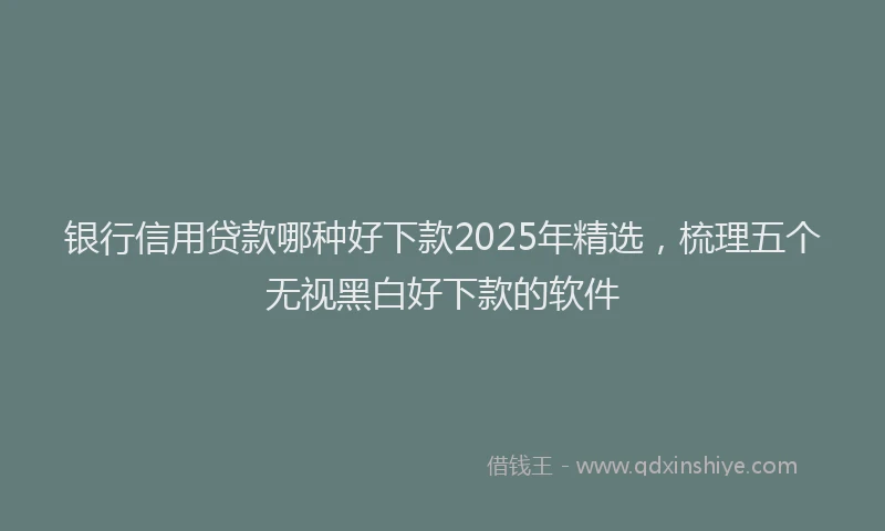 银行信用贷款哪种好下款2025年精选，梳理五个无视黑白好下款的软件