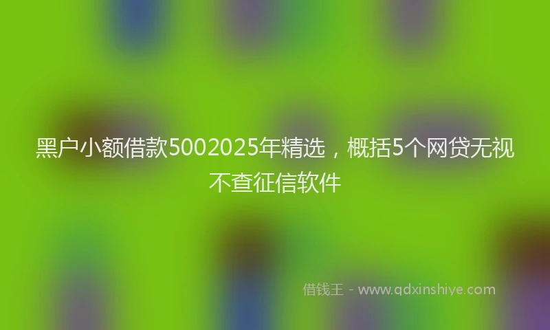 黑户小额借款5002025年精选，概括5个网贷无视不查征信软件