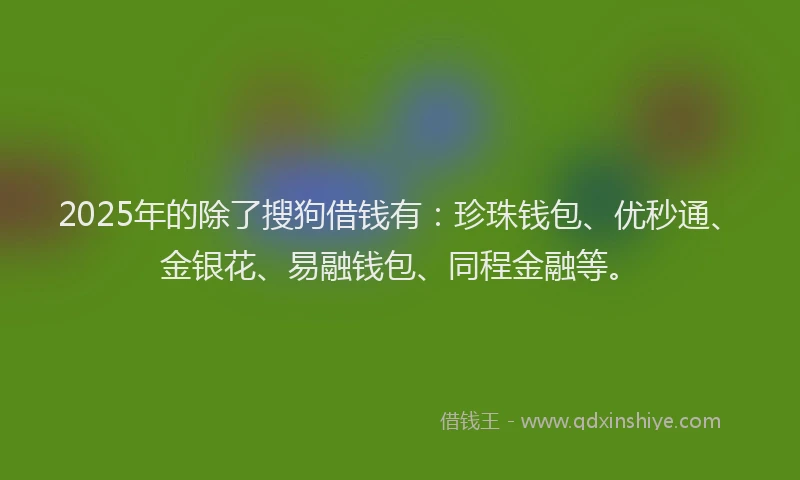 2025年的除了搜狗借钱有：珍珠钱包、优秒通、金银花、易融钱包、同程金融等。