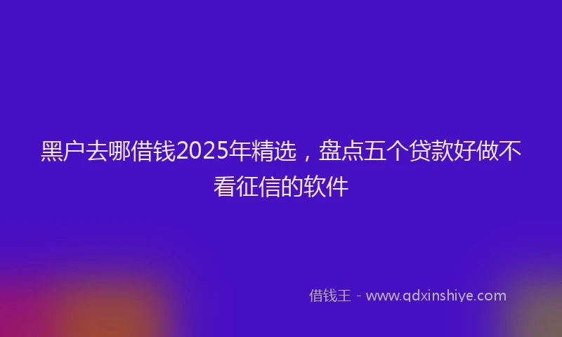 黑户去哪借钱2025年精选，盘点五个贷款好做不看征信的软件