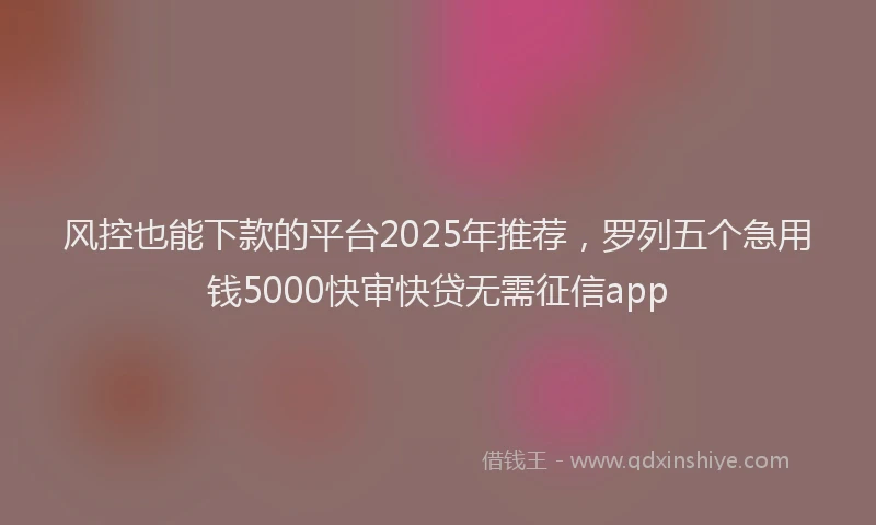 风控也能下款的平台2025年推荐，罗列五个急用钱5000快审快贷无需征信app