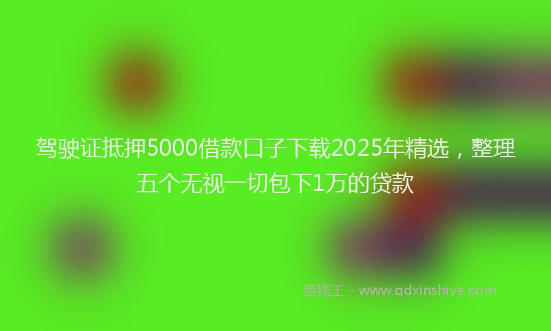 驾驶证抵押5000借款口子下载2025年精选，整理五个无视一切包下1万的贷款