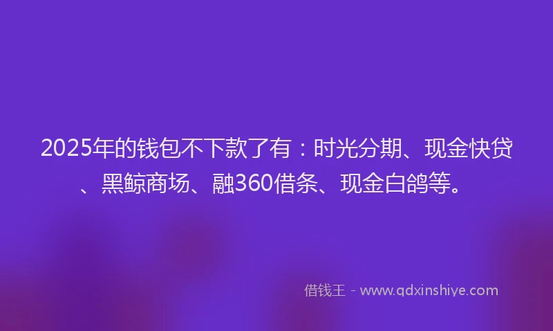 2025年的钱包不下款了有：时光分期、现金快贷、黑鲸商场、融360借条、现金白鸽等。