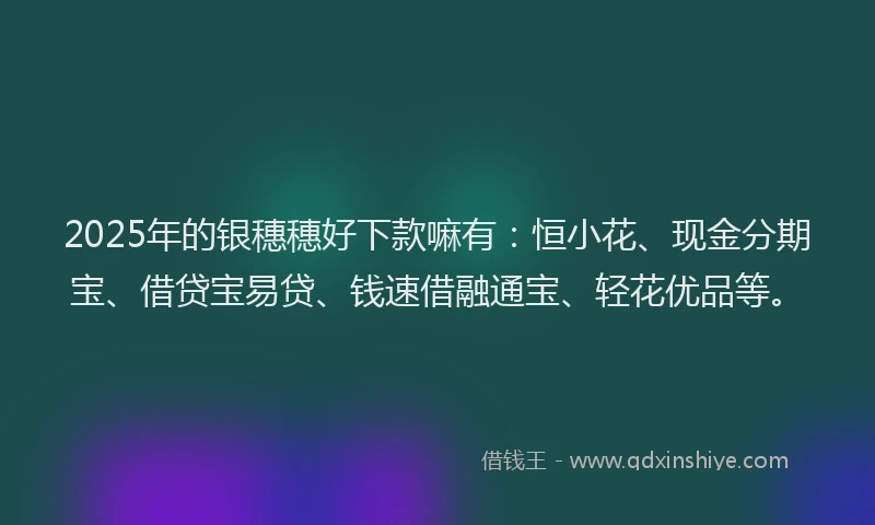 2025年的银穗穗好下款嘛有：恒小花、现金分期宝、借贷宝易贷、钱速借融通宝、轻花优品等。