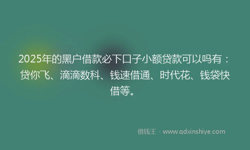 2025年的黑户借款必下口子小额贷款可以吗有：贷你飞、滴滴数科、钱速借通、时代花、钱袋快借等。