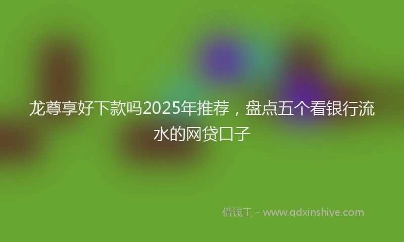 龙尊享好下款吗2025年推荐，盘点五个看银行流水的网贷口子