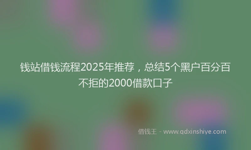 钱站借钱流程2025年推荐，总结5个黑户百分百不拒的2000借款口子