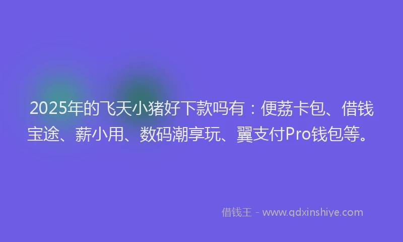 2025年的飞天小猪好下款吗有：便荔卡包、借钱宝途、薪小用、数码潮享玩、翼支付Pro钱包等。