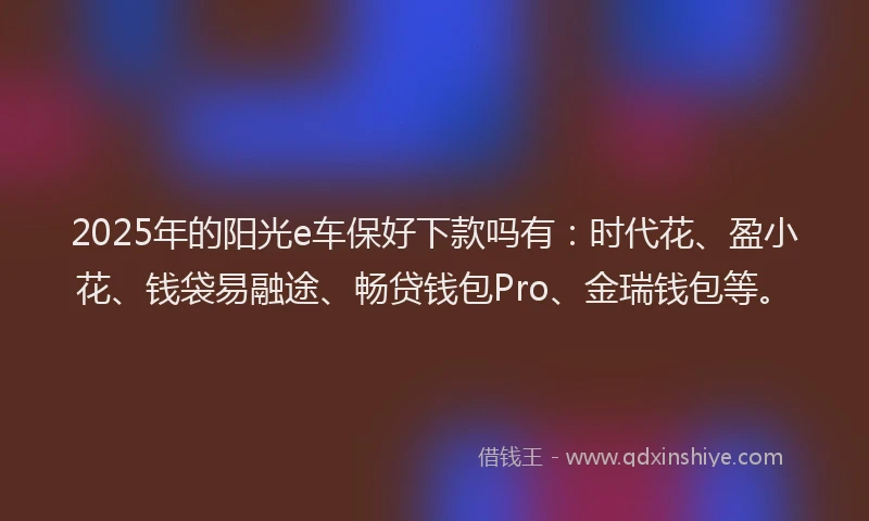 2025年的阳光e车保好下款吗有：时代花、盈小花、钱袋易融途、畅贷钱包Pro、金瑞钱包等。