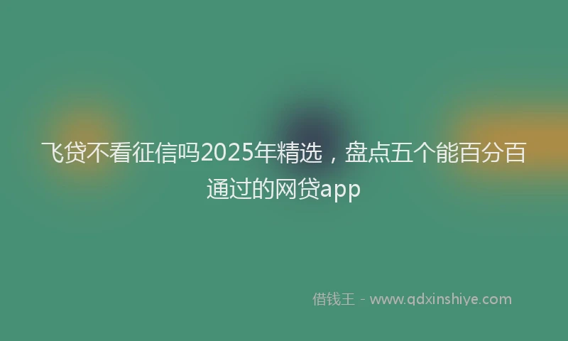 飞贷不看征信吗2025年精选，盘点五个能百分百通过的网贷app