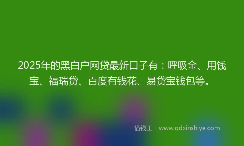 2025年的黑白户网贷最新口子有：呼吸金、用钱宝、福瑞贷、百度有钱花、易贷宝钱包等。