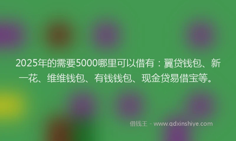 2025年的需要5000哪里可以借有：翼贷钱包、新一花、维维钱包、有钱钱包、现金贷易借宝等。
