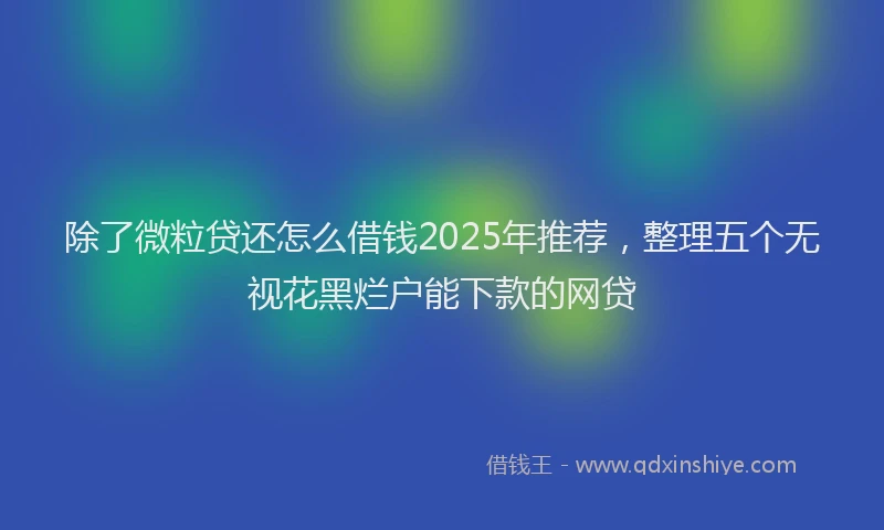 除了微粒贷还怎么借钱2025年推荐，整理五个无视花黑烂户能下款的网贷