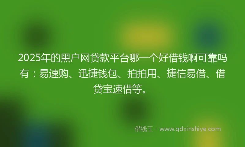 2025年的黑户网贷款平台哪一个好借钱啊可靠吗有：易速购、迅捷钱包、拍拍用、捷信易借、借贷宝速借等。