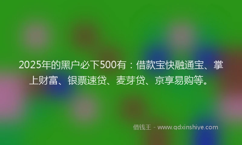 2025年的黑户必下500有：借款宝快融通宝、掌上财富、银票速贷、麦芽贷、京享易购等。