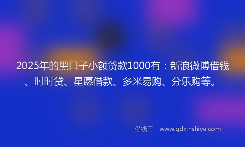 2025年的黑口子小额贷款1000有：新浪微博借钱、时时贷、星愿借款、多米易购、分乐购等。