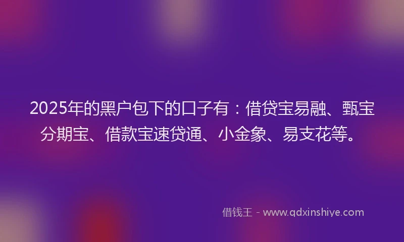 2025年的黑户包下的口子有：借贷宝易融、甄宝分期宝、借款宝速贷通、小金象、易支花等。