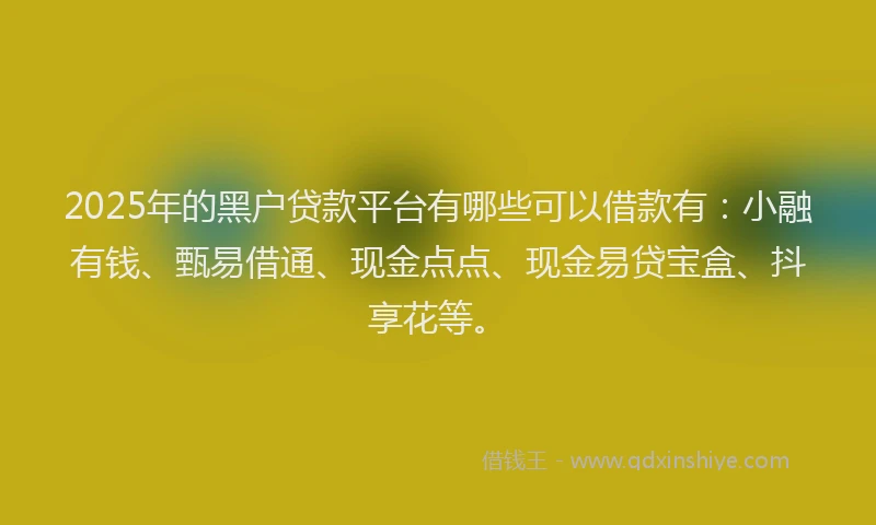 2025年的黑户贷款平台有哪些可以借款有：小融有钱、甄易借通、现金点点、现金易贷宝盒、抖享花等。