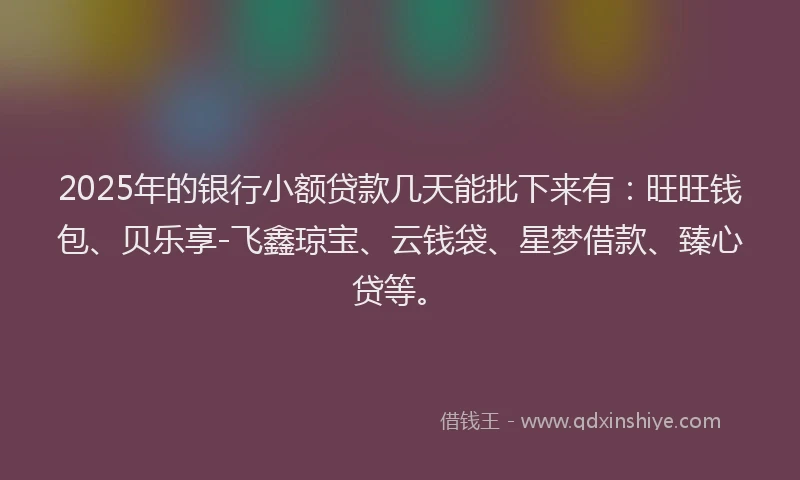 2025年的银行小额贷款几天能批下来有：旺旺钱包、贝乐享-飞鑫琼宝、云钱袋、星梦借款、臻心贷等。