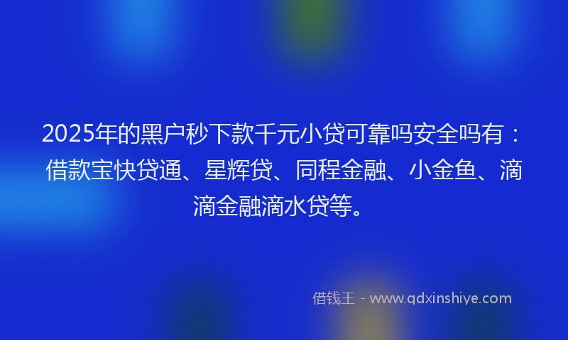 2025年的黑户秒下款千元小贷可靠吗安全吗有：借款宝快贷通、星辉贷、同程金融、小金鱼、滴滴金融滴水贷等。