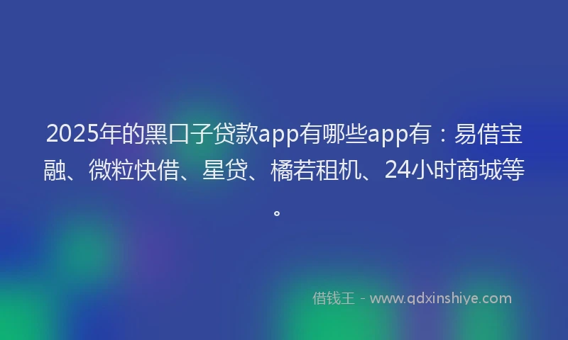2025年的黑口子贷款app有哪些app有：易借宝融、微粒快借、星贷、橘若租机、24小时商城等。