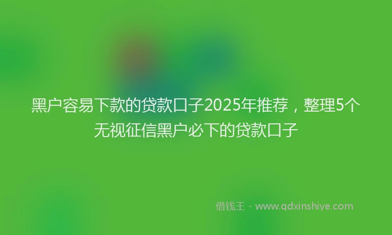 黑户容易下款的贷款口子2025年推荐，整理5个无视征信黑户必下的贷款口子