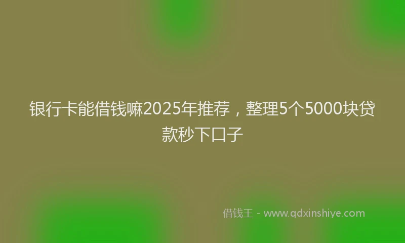 银行卡能借钱嘛2025年推荐，整理5个5000块贷款秒下口子