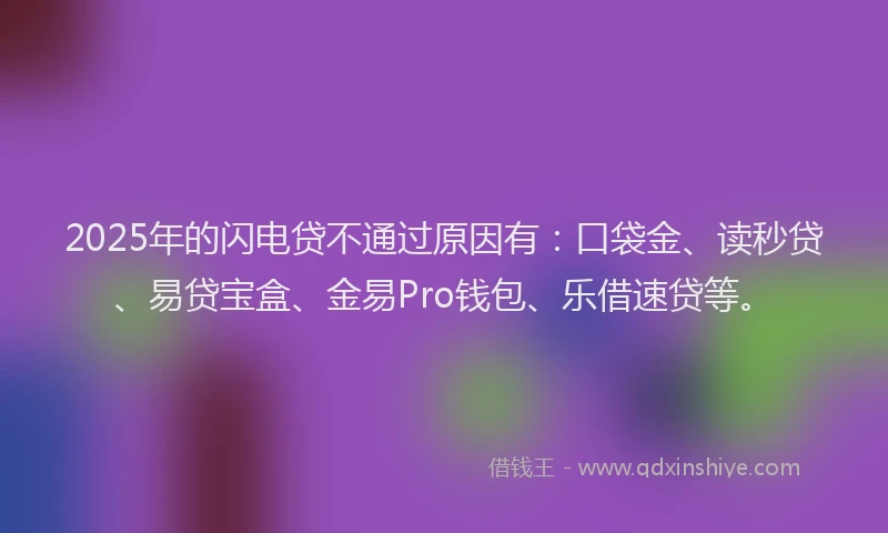 2025年的闪电贷不通过原因有：口袋金、读秒贷、易贷宝盒、金易Pro钱包、乐借速贷等。