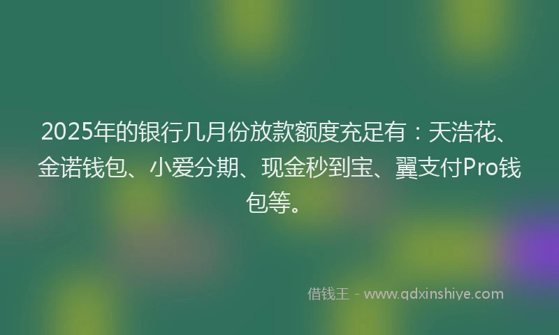 2025年的银行几月份放款额度充足有：天浩花、金诺钱包、小爱分期、现金秒到宝、翼支付Pro钱包等。