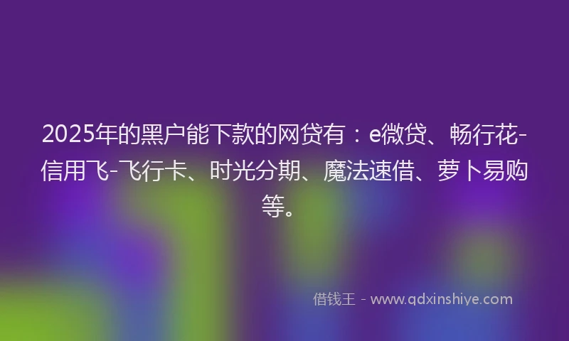 2025年的黑户能下款的网贷有：e微贷、畅行花-信用飞-飞行卡、时光分期、魔法速借、萝卜易购等。