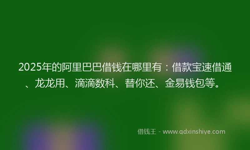 2025年的阿里巴巴借钱在哪里有：借款宝速借通、龙龙用、滴滴数科、替你还、金易钱包等。