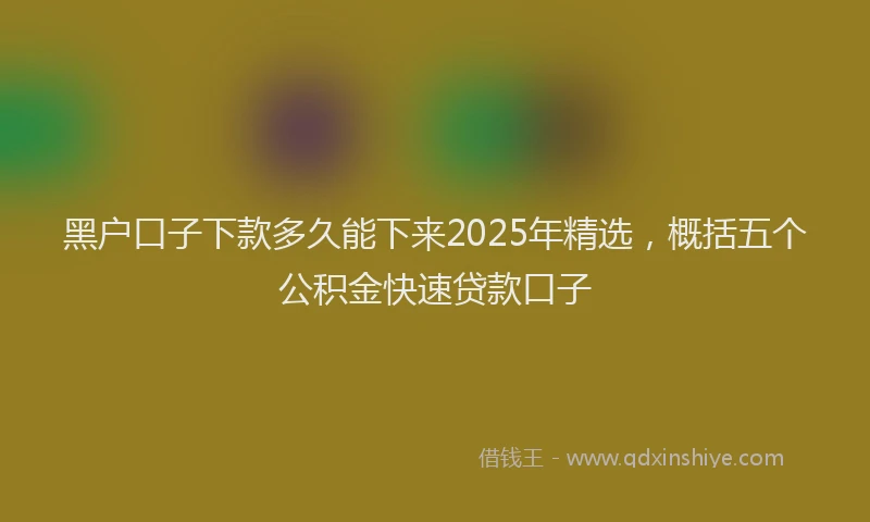 黑户口子下款多久能下来2025年精选，概括五个公积金快速贷款口子