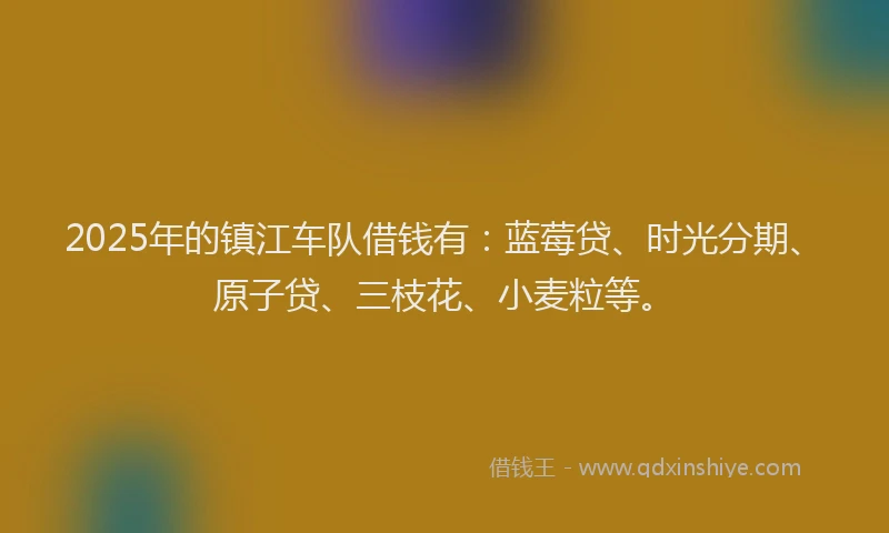 2025年的镇江车队借钱有：蓝莓贷、时光分期、原子贷、三枝花、小麦粒等。