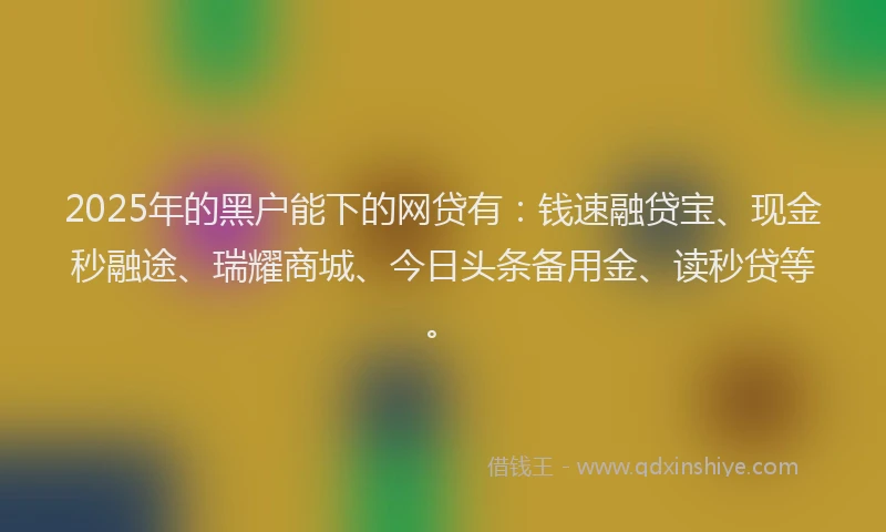 2025年的黑户能下的网贷有：钱速融贷宝、现金秒融途、瑞耀商城、今日头条备用金、读秒贷等。