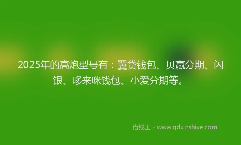 2025年的高炮型号有：翼贷钱包、贝赢分期、闪银、哆来咪钱包、小爱分期等。